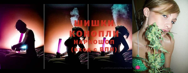 стаф Кодинск