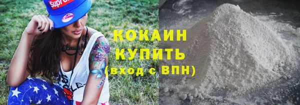 стаф Кодинск