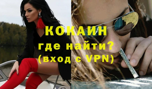 стаф Кодинск